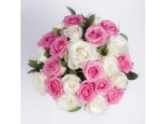 Strawberry Cream - 36 Stems Bouquet